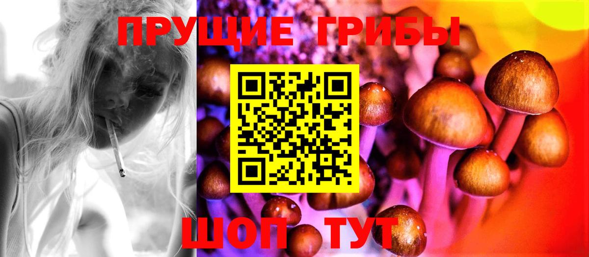 Галлюциногенные грибы Cubensis  Псилоцибиновые грибы мухоморы  Кимры  Вход с VPN 